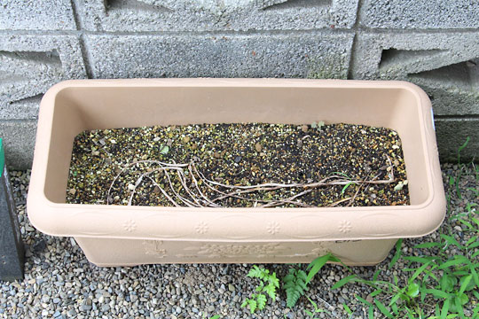 f:id:takahikonojima:20180624103436j:plain