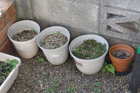 f:id:takahikonojima:20180707202016j:plain