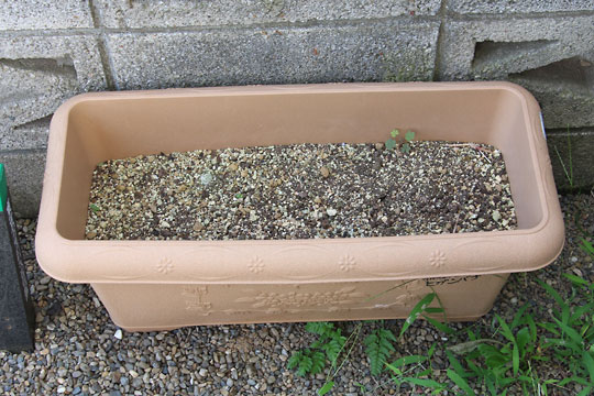 f:id:takahikonojima:20180707202023j:plain