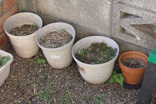 f:id:takahikonojima:20180707202033j:plain