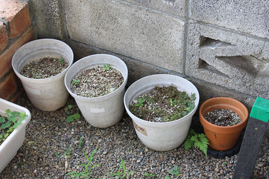 f:id:takahikonojima:20180707202048j:plain