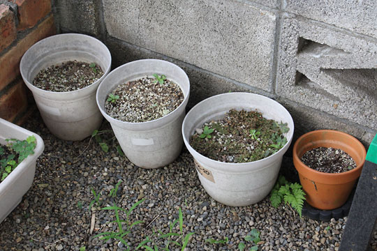 f:id:takahikonojima:20180707202117j:plain