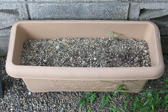 f:id:takahikonojima:20180707202124j:plain