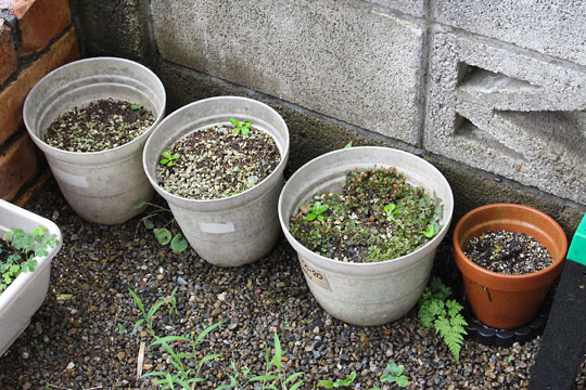 f:id:takahikonojima:20180707202131j:plain