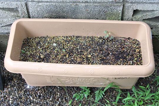 f:id:takahikonojima:20180707202137j:plain