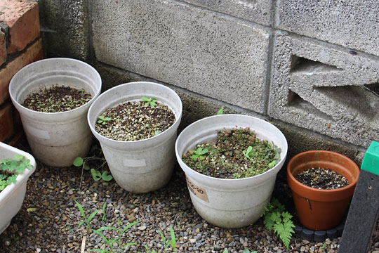 f:id:takahikonojima:20180707202144j:plain