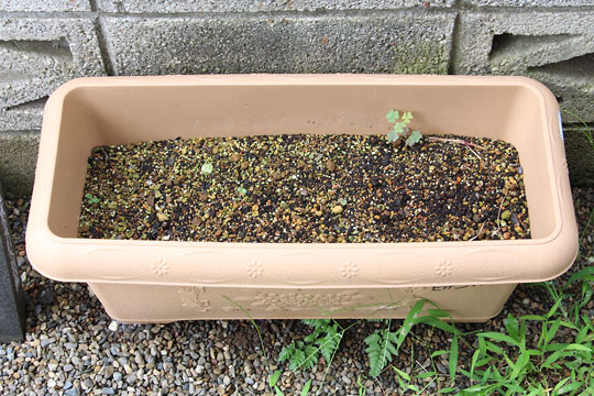 f:id:takahikonojima:20180707202152j:plain