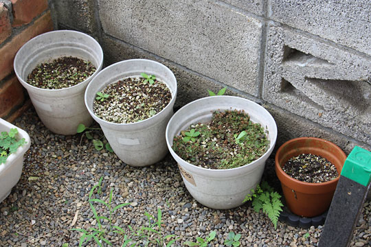 f:id:takahikonojima:20180715080229j:plain