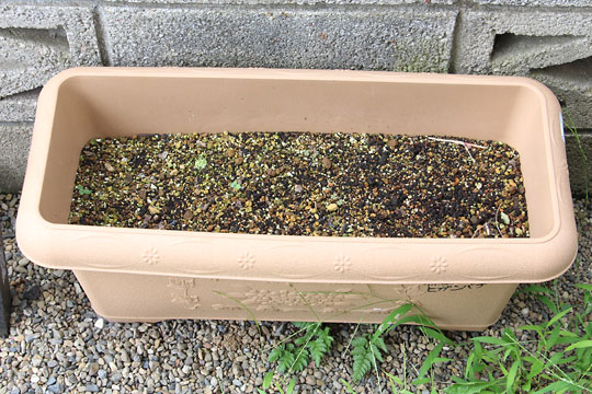 f:id:takahikonojima:20180715080235j:plain