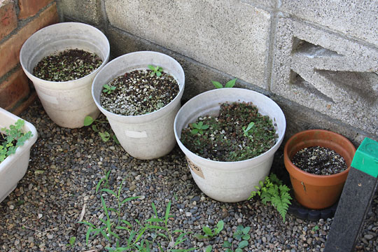 f:id:takahikonojima:20180715080241j:plain