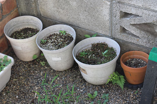 f:id:takahikonojima:20180715080253j:plain