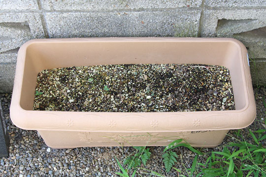 f:id:takahikonojima:20180715080259j:plain