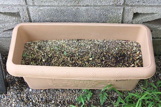 f:id:takahikonojima:20180715080312j:plain