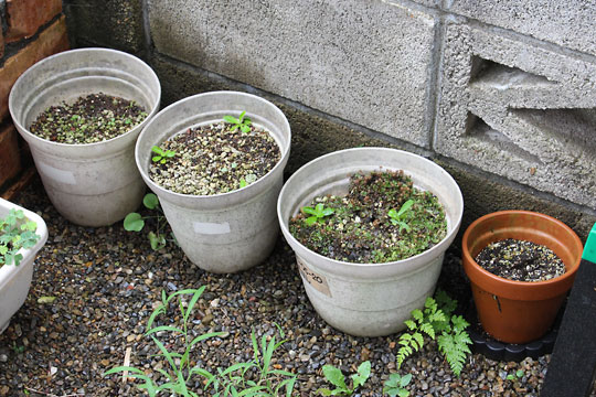 f:id:takahikonojima:20180715080323j:plain