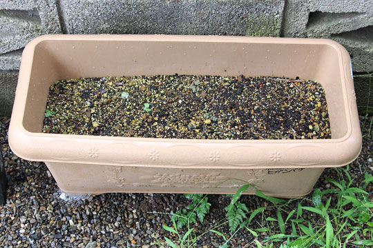 f:id:takahikonojima:20180715080330j:plain