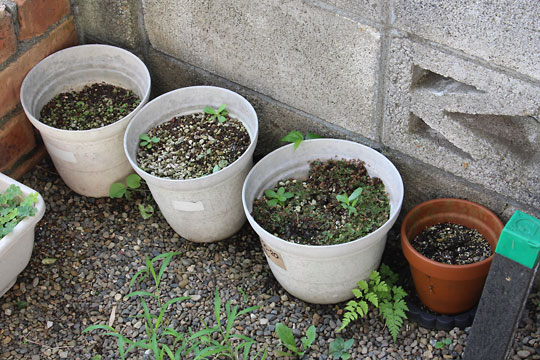 f:id:takahikonojima:20180715080346j:plain