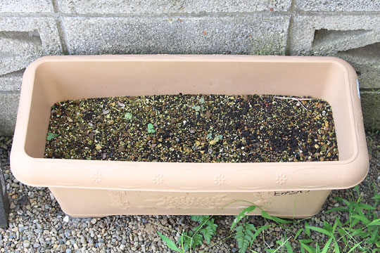 f:id:takahikonojima:20180715080352j:plain