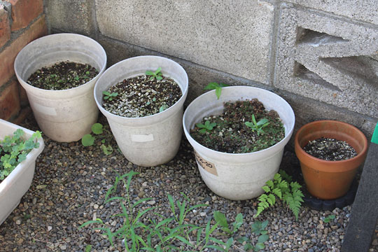 f:id:takahikonojima:20180715080402j:plain