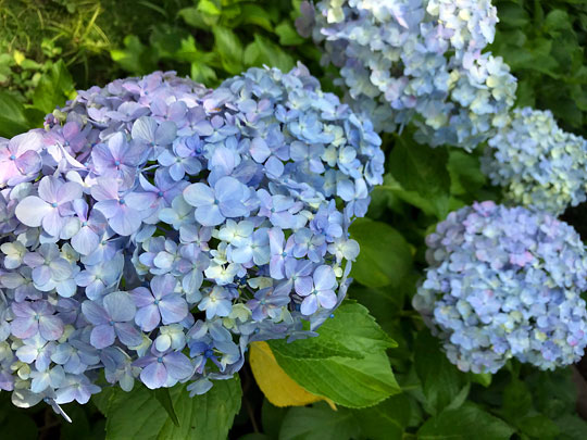 f:id:takahikonojima:20180719175336j:plain