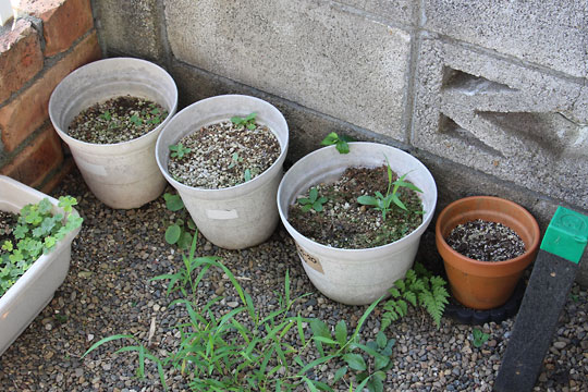 f:id:takahikonojima:20180722140847j:plain