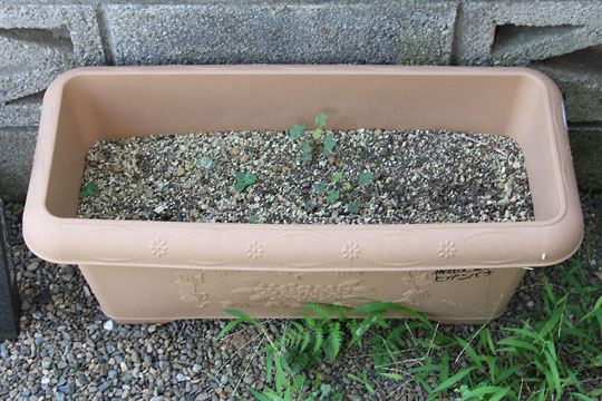 f:id:takahikonojima:20180722140854j:plain