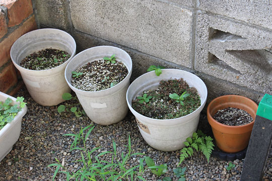 f:id:takahikonojima:20180722140916j:plain