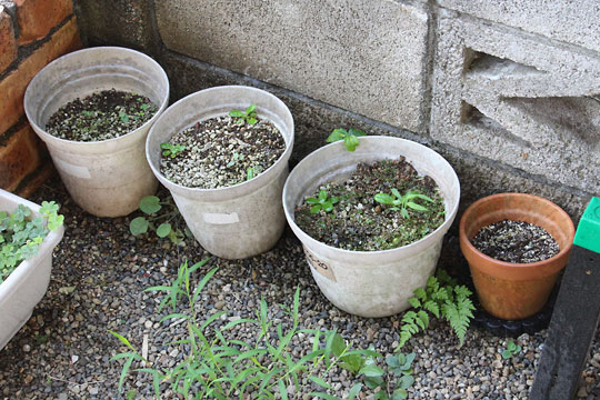 f:id:takahikonojima:20180722140929j:plain