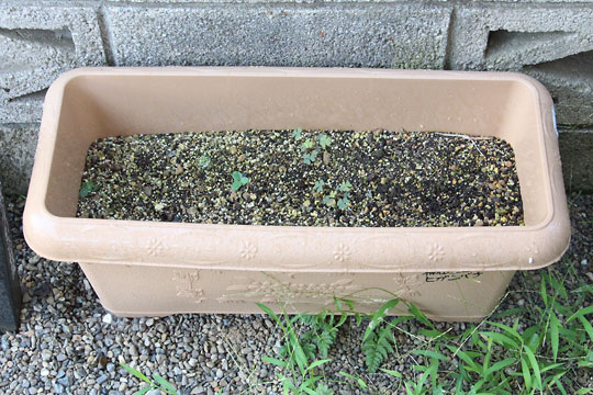 f:id:takahikonojima:20180722140936j:plain