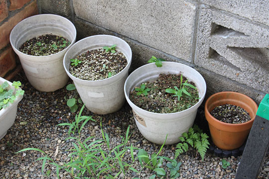 f:id:takahikonojima:20180722140954j:plain