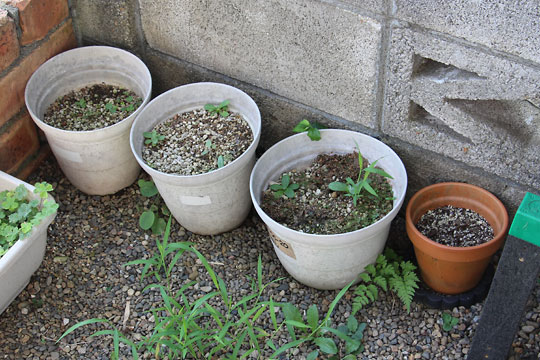 f:id:takahikonojima:20180722141013j:plain