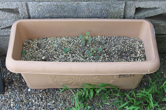 f:id:takahikonojima:20180722141022j:plain