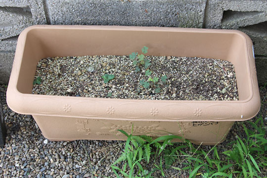 f:id:takahikonojima:20180728195925j:plain