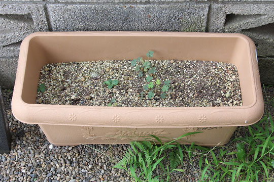 f:id:takahikonojima:20180728200006j:plain