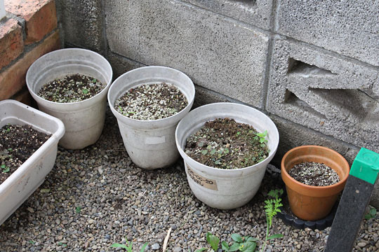 f:id:takahikonojima:20180811083518j:plain