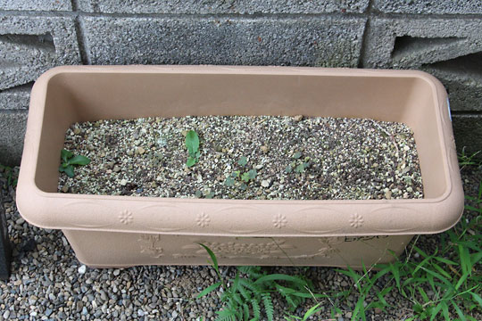 f:id:takahikonojima:20180811083523j:plain