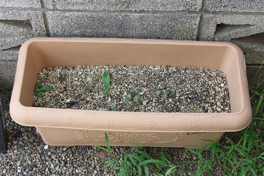 f:id:takahikonojima:20180811083534j:plain