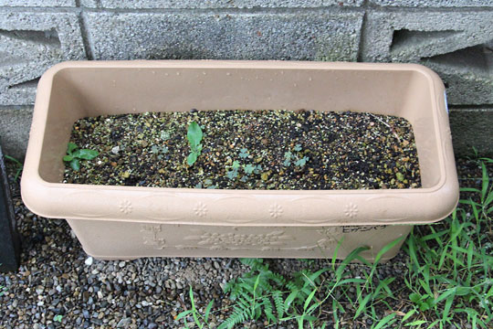 f:id:takahikonojima:20180811083546j:plain