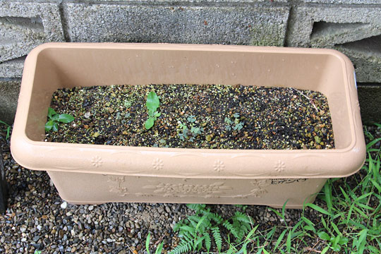 f:id:takahikonojima:20180811083557j:plain