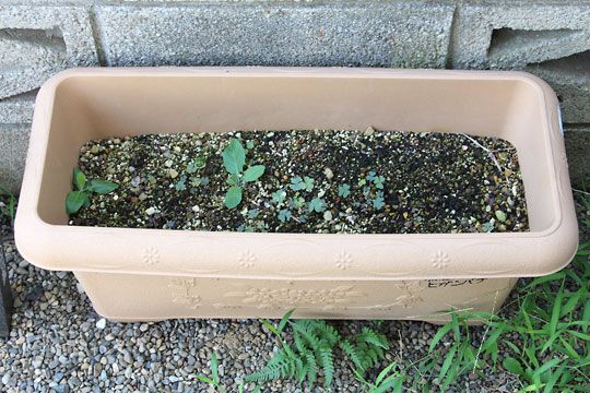 f:id:takahikonojima:20180811083637j:plain