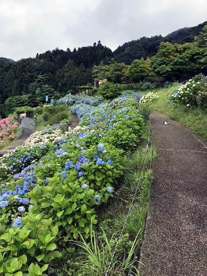 f:id:takahikonojima:20180815193951j:plain f:id:takahikonojima:20180815193951j:plain