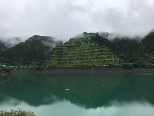 f:id:takahikonojima:20180815194037j:plain f:id:takahikonojima:20180815194037j:plain