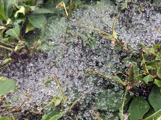 f:id:takahikonojima:20180815194259j:plain f:id:takahikonojima:20180815194259j:plain