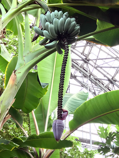 f:id:takahikonojima:20180830173053j:plain f:id:takahikonojima:20180830173053j:plain