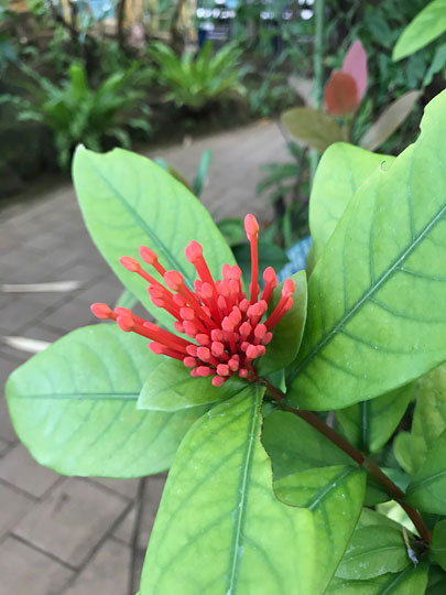 f:id:takahikonojima:20180830173112j:plain f:id:takahikonojima:20180830173112j:plain