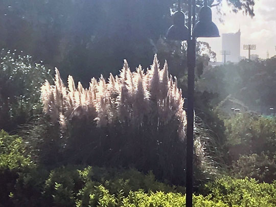 f:id:takahikonojima:20180830173136j:plain f:id:takahikonojima:20180830173136j:plain