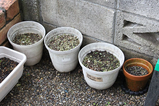 f:id:takahikonojima:20180908082801j:plain