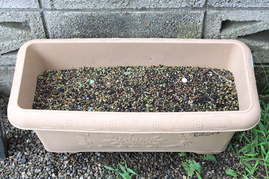 f:id:takahikonojima:20180908082807j:plain