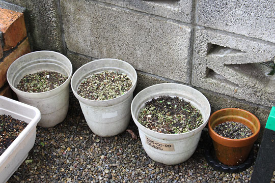 f:id:takahikonojima:20180908082812j:plain