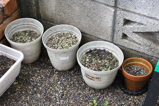 f:id:takahikonojima:20180908082823j:plain