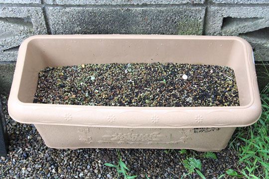 f:id:takahikonojima:20180908082828j:plain